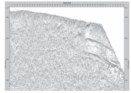 Diagnostic Profile 7